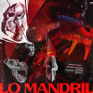 Lo Mandril (feat. Dj Ropo) (Explicit)