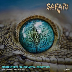 Seduction (Original Mix)