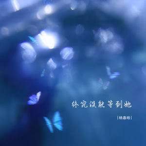 终究没能等到她