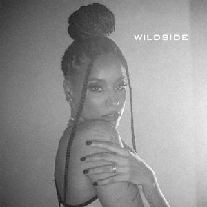 Wildside (feat. Jon Bonus & Wicjones) [Explicit]