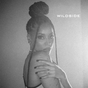 Wildside(feat. Jon Bonus & Wicjones) (Explicit)