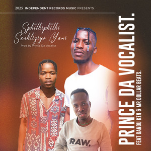 Sphithiphithi Senhliziyo Yami