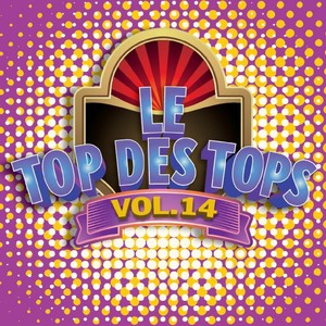 Le Top des Tops des années 80 / 90, Vol. 14