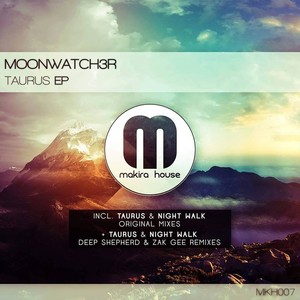 Night Walk (Deep Shepherd Remix)