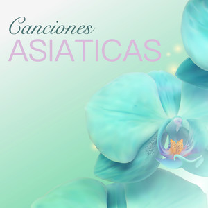 Karesansui (Jardín Zen Japonés)