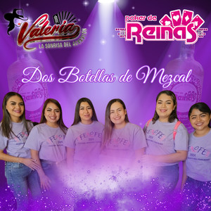 Dos Botellas De Mezcal