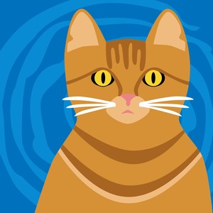 Tin Roof on Cat