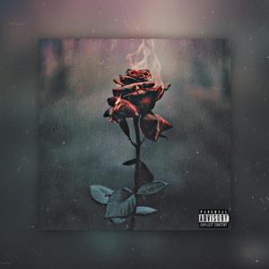 Long Nights (Explicit)