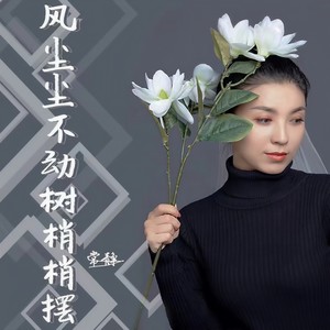 风尘尘不动树梢梢摆