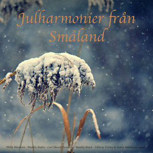 Julharmonier från Småland