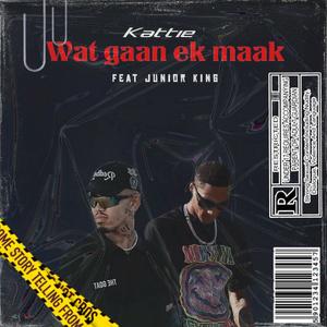 Wat gaan ek maak (feat. Junior king)