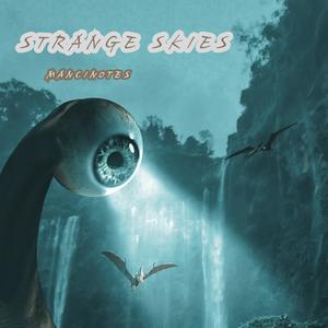 Strange Skies (Explicit)