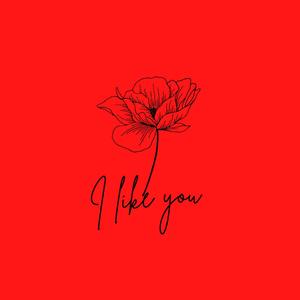 I like you (feat. Pradix)