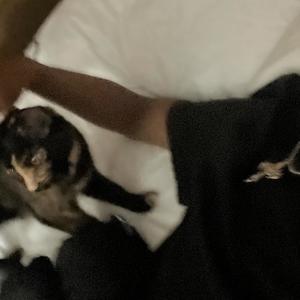 jinx inna cut man (Explicit)