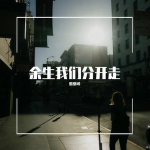 余生我们分开走 (伴奏)