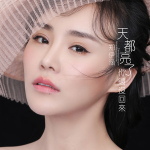 天都亮了你还没回来 (DJ何鹏版)