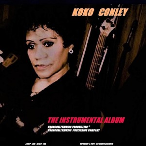 The Instrumental Album