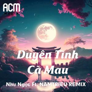 Duyên Tình Cà Mau (NAMTRIEU REMIX)