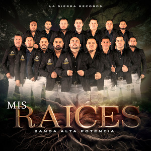 Mis Raices