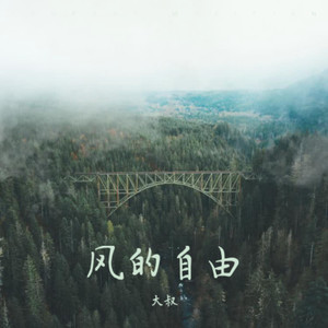 风的自由