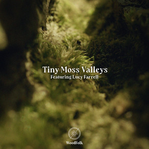 Tiny Moss Valleys