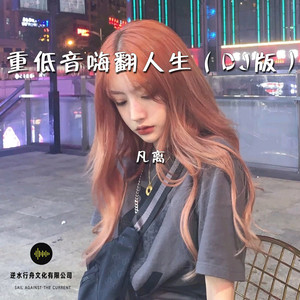 重低音慢嗨 (DJ版)