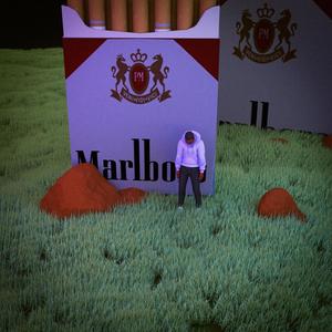 Lovers Or Friends (feat. SHADE08)