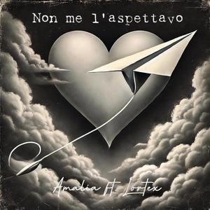 NON ME L'ASPETTAVO (feat. Lortex)