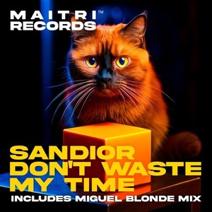 Don't Waste My Time (Miguel Blonde Extended Mix)