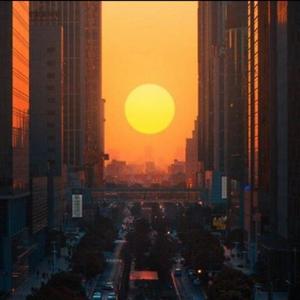 悬日封面