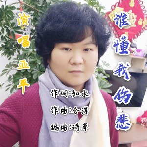 谁懂我伤悲 (男声版伴奏)