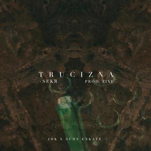 Trucizna (feat. Sekr) (Explicit)