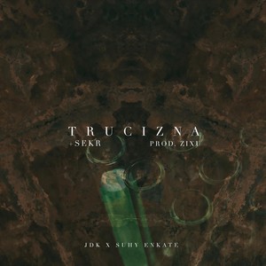 Trucizna(feat. Sekr) (Explicit)
