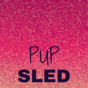 Pup Sled