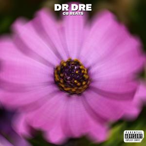 DR DRE