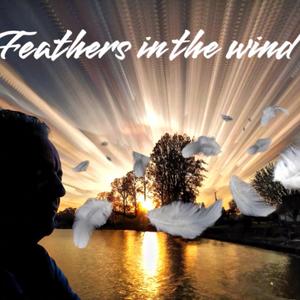 Feathers in the wind