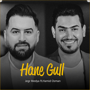 Hane Gull