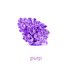 Purp