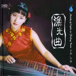 摘下满天星 - 付娜封面