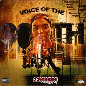 Voice Of The South (Explicit)