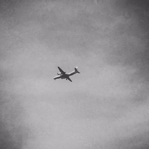 王极 - Cookie Gangster