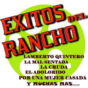 Busca Otro Amor