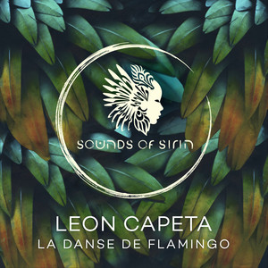 La Danse de Flamingo (Somelee Remix)