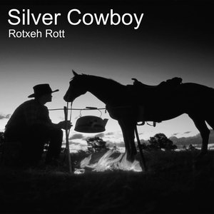 Silver Cowboy