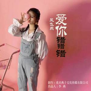爱你错错错封面