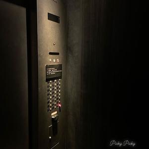 Hollywood (feat. Pryotics) (Explicit)