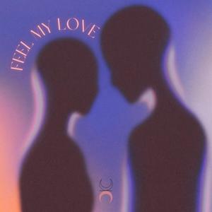 Feel My Love