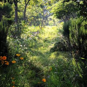 fantasy(feat. kuriosity) (Explicit)