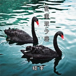 爱恋双子座 (纯音乐版)