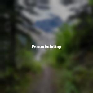 Perambulating